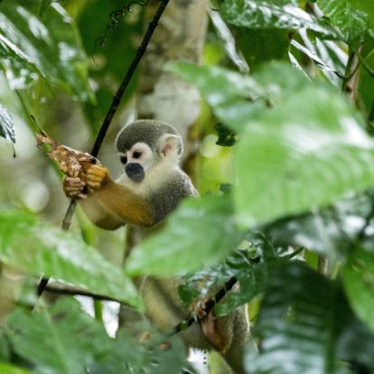 Circuit en Equateur : Vacances En Famille En Equateur